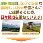 【平成22年産新米】 澤田農場の新潟県上越産コシヒカリ玄米 20ｋｇ（5ｋｇ×4袋）