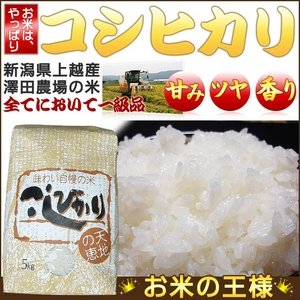 【お試しにも!平成25年産】 澤田農場の新潟県上越産コシヒカリ白米 5kg