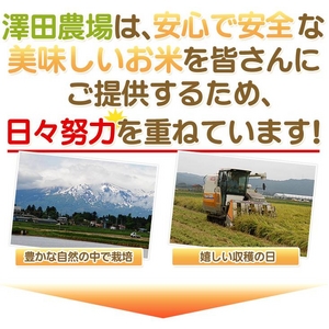 【平成28年産】 澤田農場の新潟県上越産コシヒカリ白米 30ｋｇ（5ｋｇ×6袋）