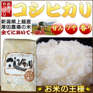 【特別価格】平成24年産　澤田農場の新潟県上越産コシヒカリ白米 30ｋｇ（5ｋｇ×6袋）