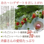 斉藤いちご農園のいちごジェラート&シャーベット 10個入