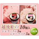 斉藤いちご農園のいちごジェラート&シャーベット 10個入