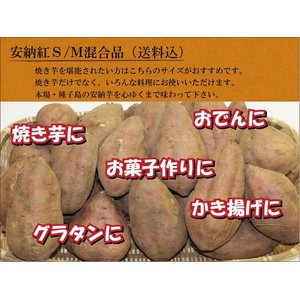 安納紅S/M混合品 5kg