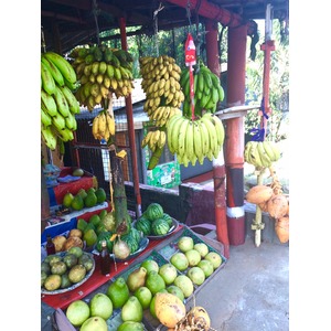 Organic ココナッツオイル 500ml