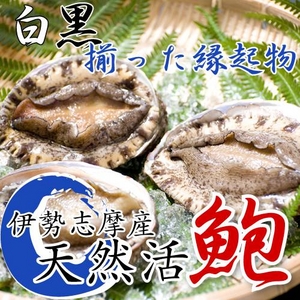 贈答用 天然白鮑（しろあわび）と黒鮑（くろあわび）の縁起物セット! 包装あり