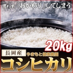 【お歳暮用　のし付き（名入れ不可）平成22年産】やまもと健康農園の長岡産コシヒカリ白米 20kg（10kg&times;2袋）の詳細ページへ