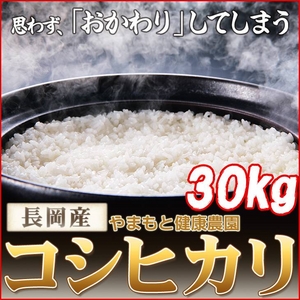 【お歳暮用 のし付き(名入れ不可)平成22年産】やまもと健康農園の長岡産コシヒカリ白米 30kg(10kg×3袋)