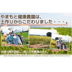 【お歳暮用 のし付き(名入れ不可)平成22年産】やまもと健康農園の長岡産コシヒカリ白米 30kg(10kg×3袋)