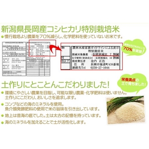 【お歳暮用 のし付き(名入れ不可)平成22年産】やまもと健康農園の長岡産コシヒカリ白米 30kg(10kg×3袋)
