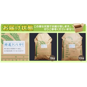 【お歳暮用 のし付き(名入れ不可)平成22年産】やまもと健康農園の長岡産コシヒカリ白米 30kg(10kg×3袋)