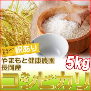 �y�󂠂�z��܂��ƌ��N�_���̐V���������Y�R�V�q�J������5kg