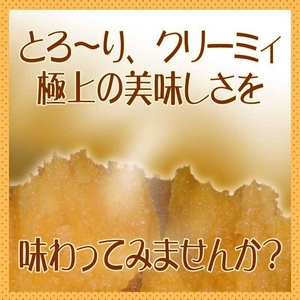 【特別販売 種子島産】安納いも5kg(25個前後)