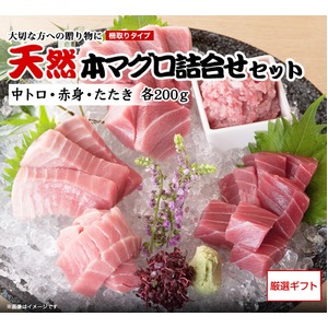 【三崎恵水産】天然本マグロ詰合せセット　（中トロ・赤身・たたき　各200ｇ、醤油・わさび付）