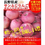 長野県産サンふじりんご自宅用5kg