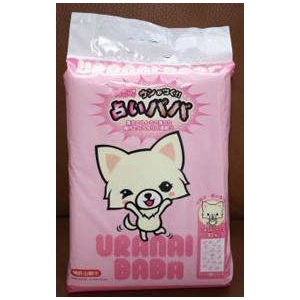 �y�����o�蒆�z�肢���g�C���V�[�c�@�E�������I�I�@�肢�o�o�@�i1�P�[�X�F���M�����[�T�C�Y1��30���~12�ܓ���j