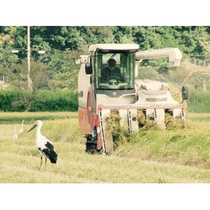 【平成29年産】ウノトリ舞い降りるコシヒカリ 六方銀米 20Kg（5kg白米&times;4） 