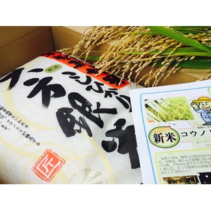 【平成29年産】コウノトリ舞い降りるコシヒカリ 六方銀米 5kg 玄米