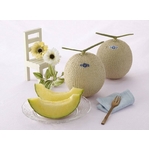 温室クラウンマスクメロンx2個入り（静岡産）