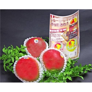 ペルー産 ロシオマンゴー 5個入り（1個 約250g）