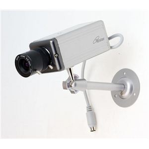 コロナ電業 バリフォーカルレンズ採用カラーCCDカメラ シルバー TR-1300C