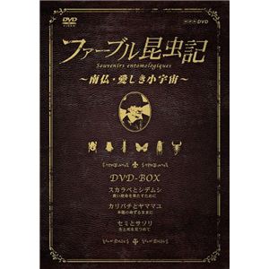 TNA20 ファーブル昆虫記～南仏・愛しき小宇宙～DVD BOX3枚組