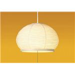 �a���y���_���g���C�g TIV-6698�i�Ɩ����j