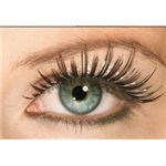 RUBIE'S（ルービーズ） MAKEUP（メイクアップ） コスプレ用メイク用品 Hologram Eyelashes - Black（ホログラム アイラッシュ ブラック）