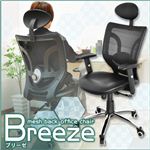 ItBX`FA[ BREEZEiu[[j 