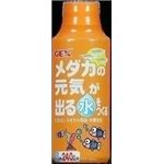 GEXiWFbNXj _J̌Co鐅 120cc ipǗpij yybgpiz