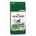 ROYAL CANINiCJij SHN~jZVu 500g ihbOt[hj yybgpiz