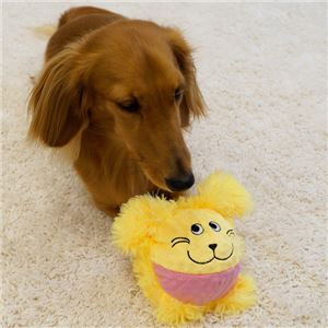 ドギーマンハヤシ もじゃっこ チャッピ〜 【ペット用品】