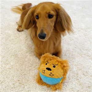 ドギーマンハヤシ もじゃっこ フンバリ〜 【ペット用品】