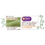 NuKME(ヌックミィ) 2011年Ver ルームブーツ Lサイズ アース オークブラウン