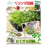 おてがる菜園セット