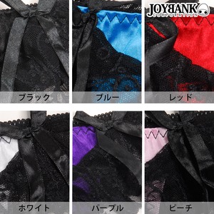 フラップレースTバックショーツ☆アソート10枚セット【コスプレ/コスチューム/ランジェリー/下着/衣装】08000389