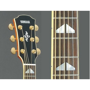 YAMAHA（ヤマハ） エレクトリックアコースティックギター APX1000 CRB