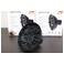 Solisi\Xj \tgX^C[ ubN ihC[ IQ-7pj