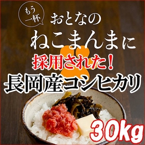 平成23年産 中村さんちの新潟県長岡産コシヒカリ玄米 30kg(5kg×6袋)