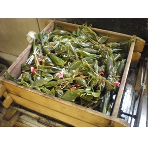 お試しに！紅白笹団子10個セット （白色10個）