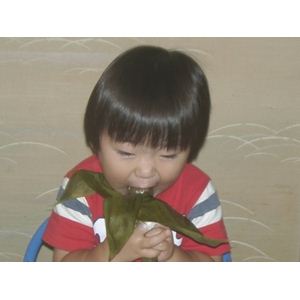 お試しに!新潟名物伝統の味!笹団子 みそあん10個