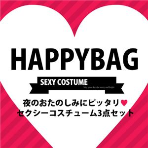 コスプレ ランジェリー 福袋 fb03 3点セット