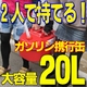 ���������� �������ȹԴ� 20L