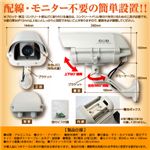 【防犯用ダミーカメラ】屋外ハウジング型 （ミドルサイズ） オンサプライ（OS-161）