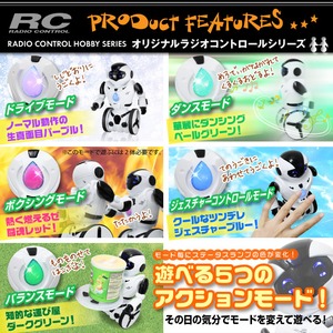 【RCオリジナルシリーズ】ラジコン ロボットトイ 人型 6軸ジャイロ 走行 旋回 ジェスチャーコントロール ダンス ボクシング 赤外線リモコン 『KiB Robot』 (OA-4170)