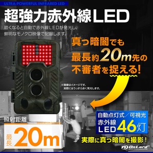 【監視カメラ】【防犯カメラ】【SDカード式録画装置内蔵】 屋外 防塵防水 Wセンサーカメラ （OL-501） 超強力赤外線LED PIR 人感センサー 暗視撮影 乾電池式 配線不要