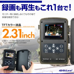 【監視カメラ】【防犯カメラ】【SDカード式録画装置内蔵】 屋外 防塵防水 Wセンサーカメラ （OL-501） 超強力赤外線LED PIR 人感センサー 暗視撮影 乾電池式 配線不要