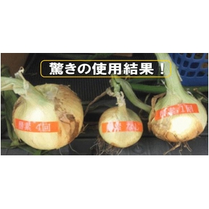 植物に活力を与える酵素 NT酵素8 200ml ボトル