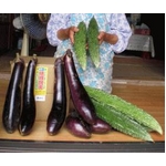 �A���Ɋ��͂�^����y�f NT�y�f8 200ml �{�g��