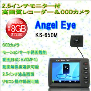 2.5インチモニター付 高画質レコーダー＆CCDカメラ Angel Eye KS-650M