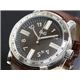 D��G�ʥǥ�������ɥ����� �ӻ��� ��� DW0484
